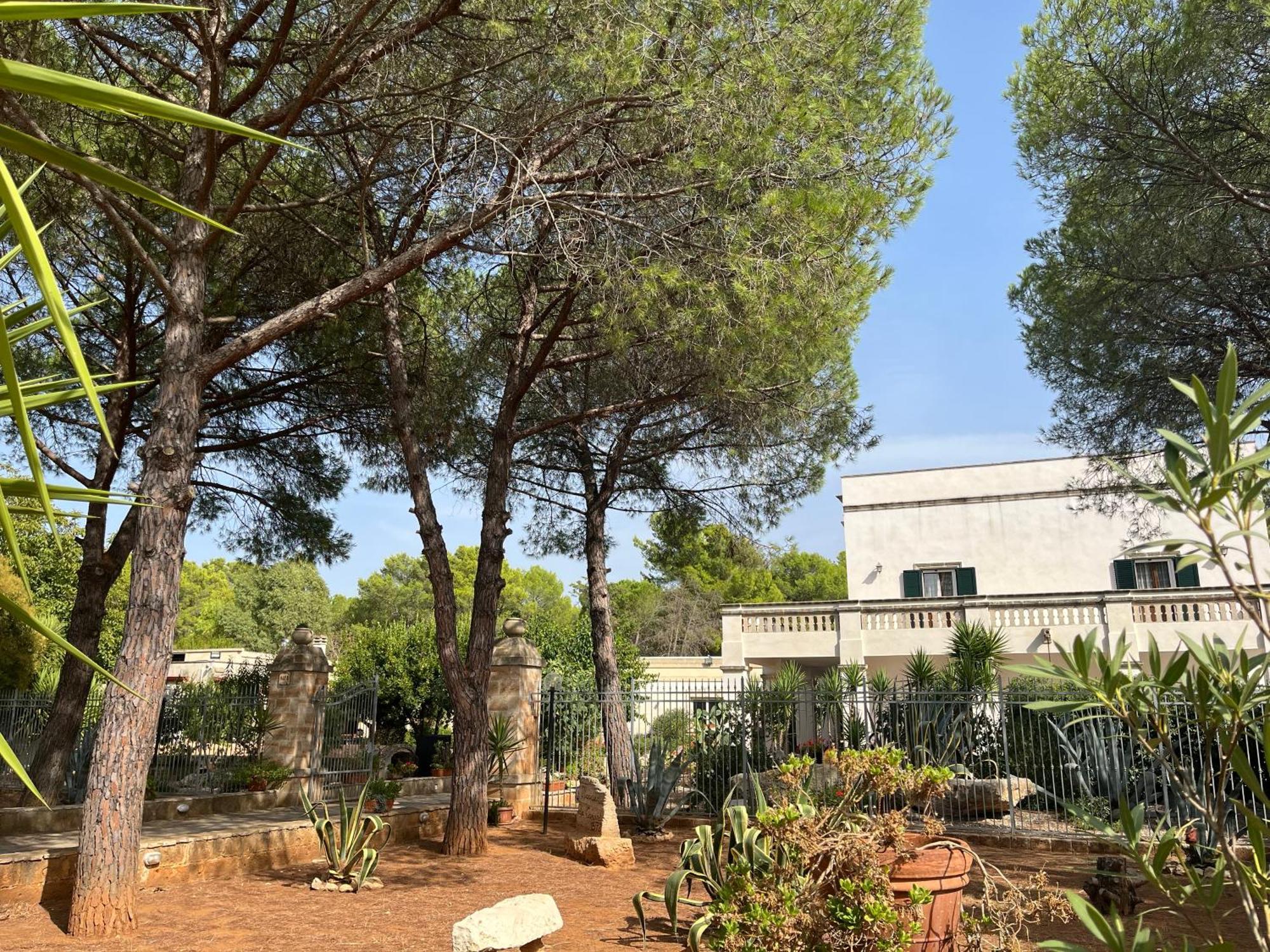 Masseria La Camardia Sava Exteriér fotografie