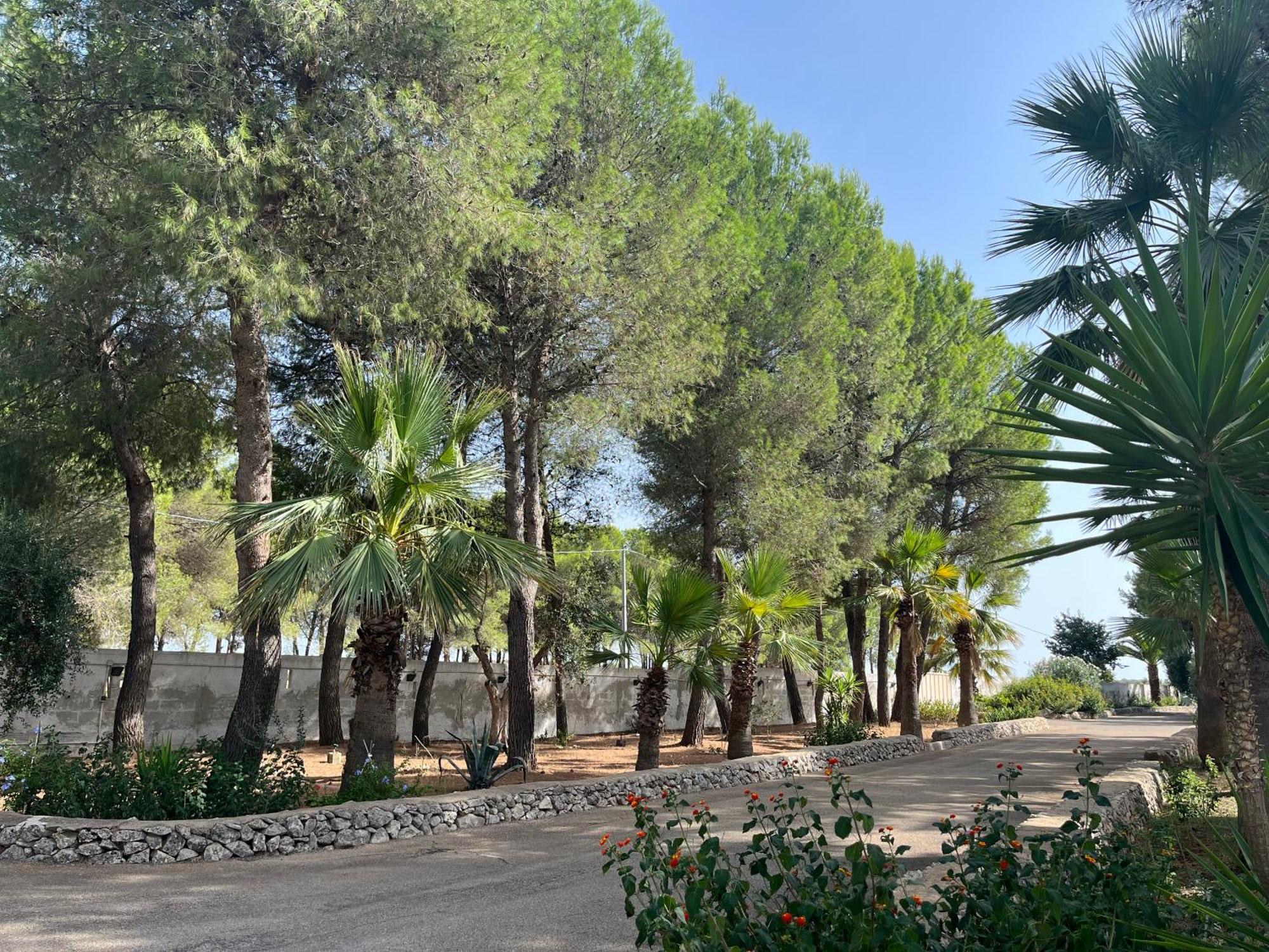 Masseria La Camardia Sava Exteriér fotografie