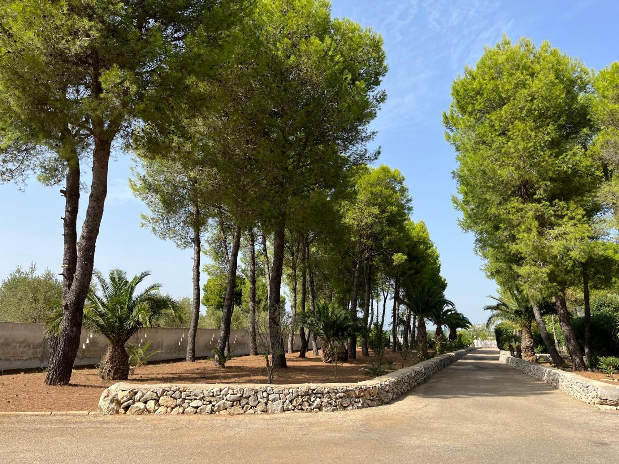 Masseria La Camardia Sava Exteriér fotografie