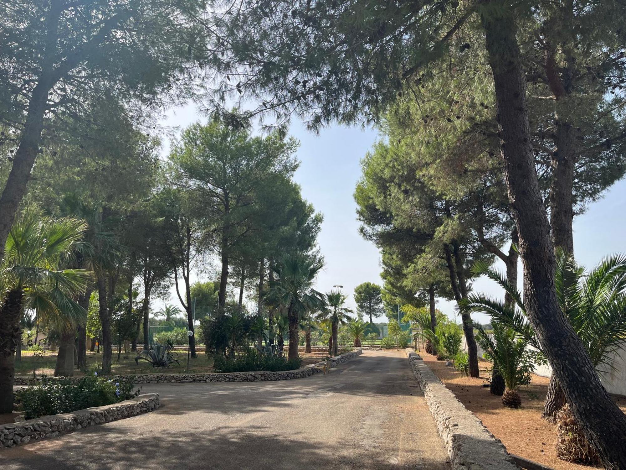 Masseria La Camardia Sava Exteriér fotografie