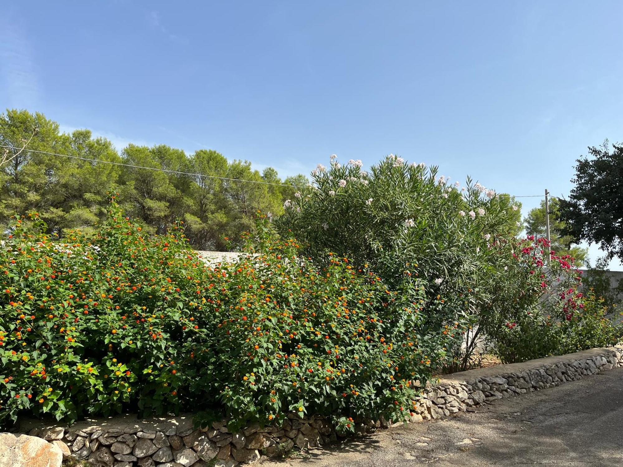 Masseria La Camardia Sava Exteriér fotografie