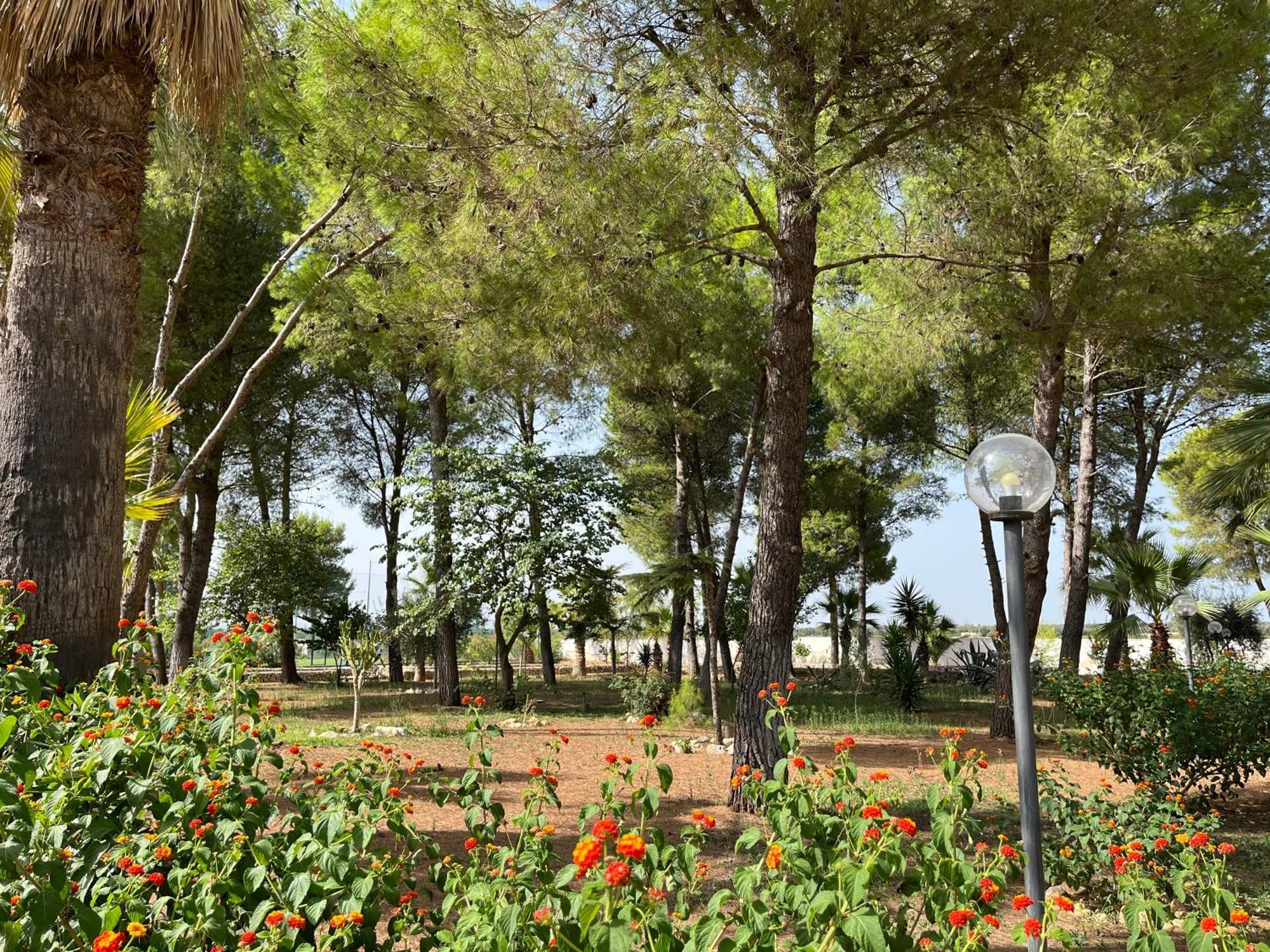 Masseria La Camardia Sava Exteriér fotografie