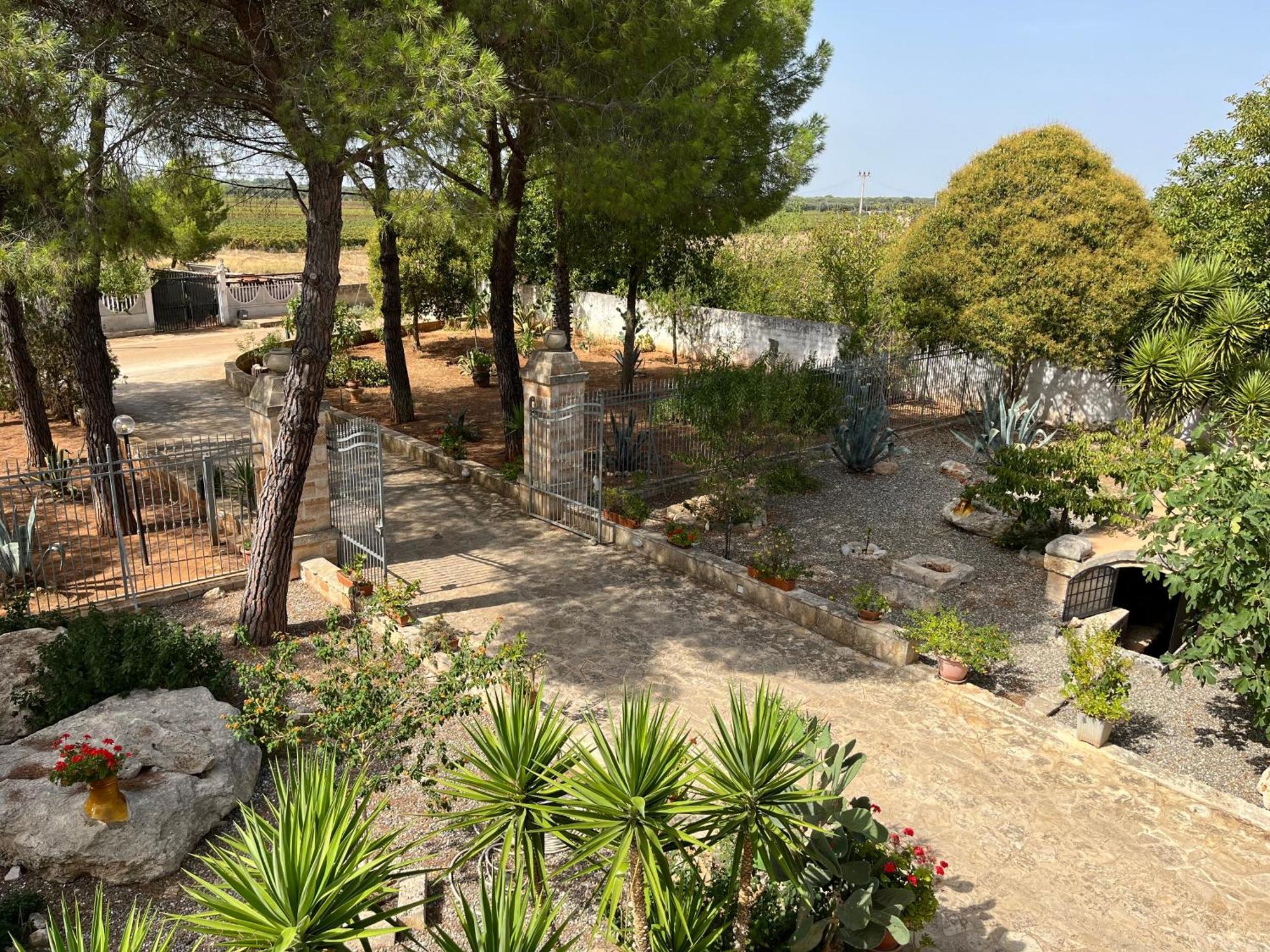 Masseria La Camardia Sava Exteriér fotografie