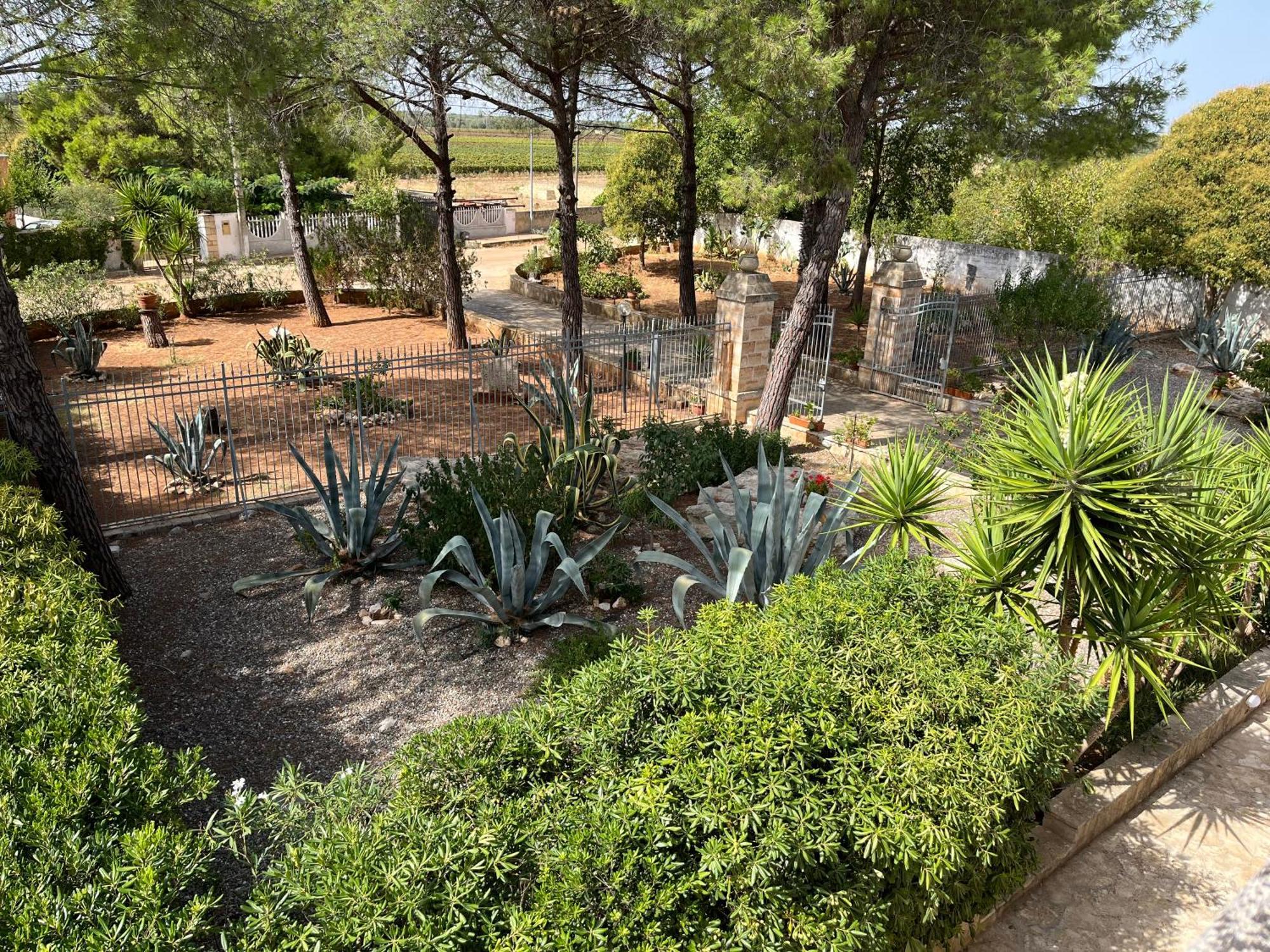 Masseria La Camardia Sava Exteriér fotografie